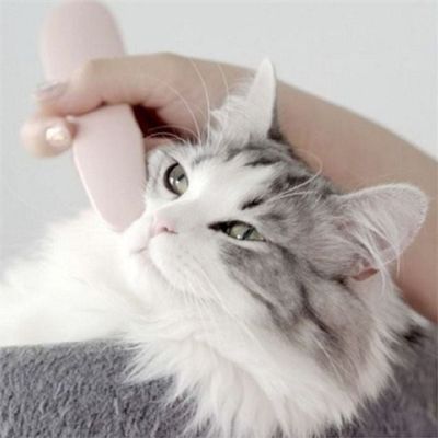 고양이 QZS617M8 빗 고양이 브러쉬 부드러운 마사지 반려동물 용품 단모_라이트그레이