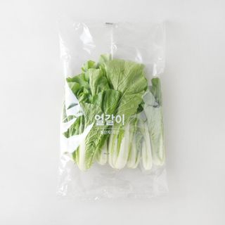 얼갈이(국산/봉)