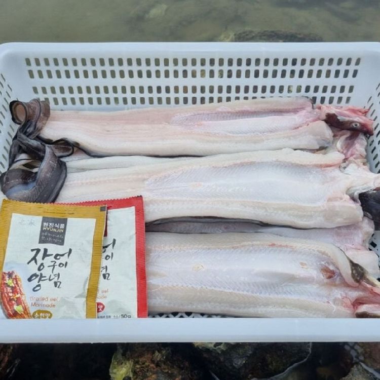 국내산 손질 특대 바다장어 1kg (2-3미 내외) | 홈플러스 판매자택배