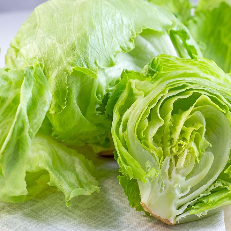 국내산 양상추 5개 2kg 내외 | 홈플러스 판매자택배