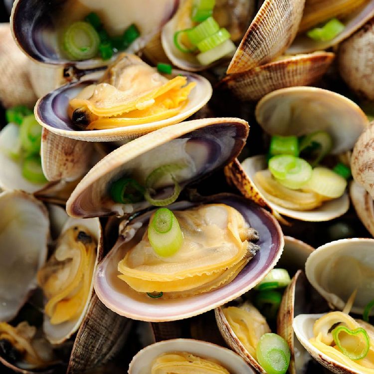국내산 껍질채 통 자숙 바지락 1팩당 120g 5팩 | 홈플러스 택배배송