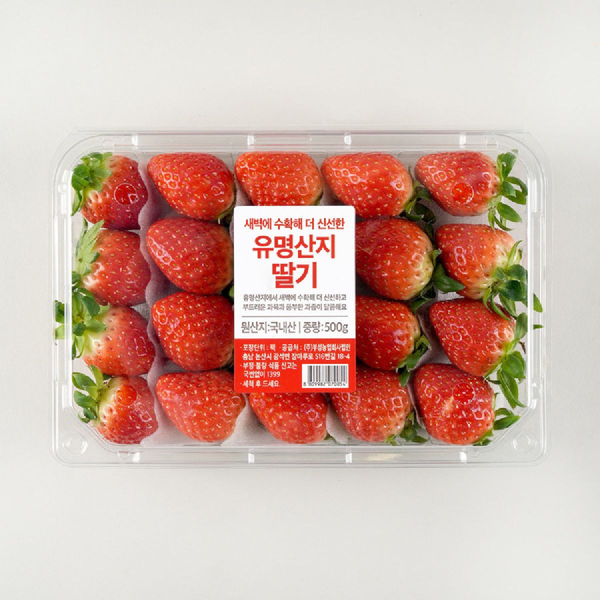 유명산지 딸기 500G(팩) | 홈플러스