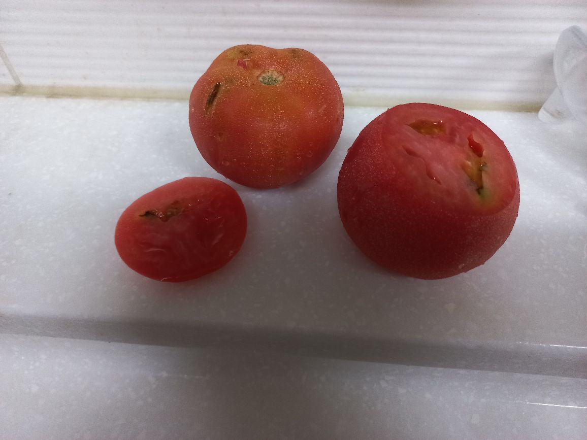 찰토마토 1kg (1개) : 다나와 가격비교